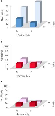 Alternative Mating Tactics in Socially Monogamous Prairie Voles, Microtus ochrogaster